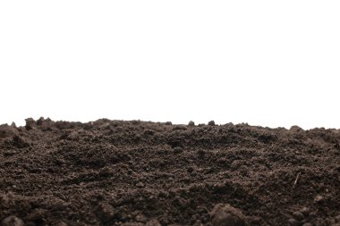 Beyaz arka planda izole edilmiş bitkiler için kara toprak. Boşluğu kopyala.