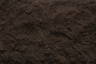 Bitkiler için kara toprak. Üst görünüm. 