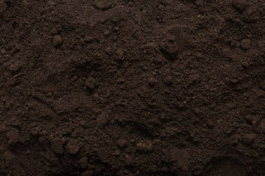 Bitkiler için kara toprak. Üst görünüm. 