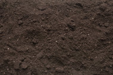 Bitkiler için kara toprak. Üst görünüm. 