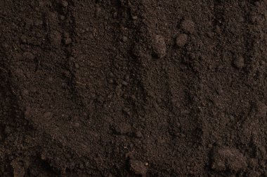 Bitkiler için kara toprak. Üst görünüm. 