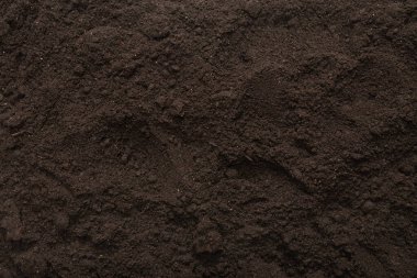 Bitkiler için kara toprak. Üst görünüm. 