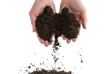 Kadınların elindeki kahverengi toprak beyaz arka planda izole edilmiş. Toprak elimizden kayıp gidiyor..