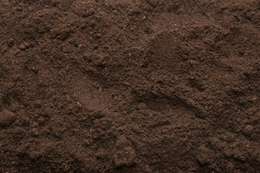 Bitkiler için kara toprak. Üst görünüm. 