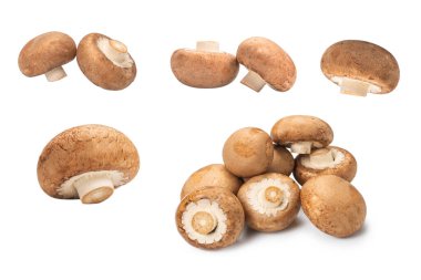 Beyaz arka planda izole edilmiş lezzetli mantar..