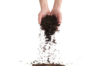 Kadınların elindeki kahverengi toprak beyaz arka planda izole edilmiş. Toprak elimizden kayıp gidiyor..