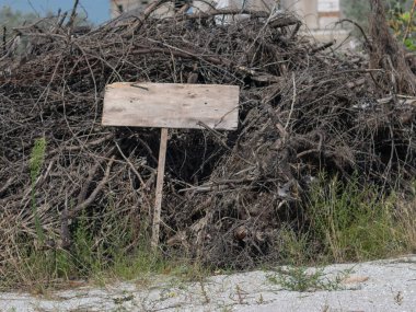 Korkunç boş ahşap levha kuru dalların üzerinde yatıyor. Uzayı kopyala Cadılar Bayramı. 