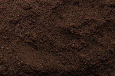 Bitkiler için kara toprak. Üst görünüm. 