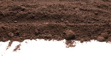 Beyaz arka planda izole edilmiş bitkiler için kara toprak. Boşluğu kopyala.