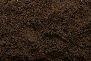 Bitkiler için kara toprak. Üst görünüm. 