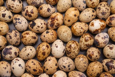 Arka plan olarak bir grup bıldırcın yumurtası. Çiğ yumurta..