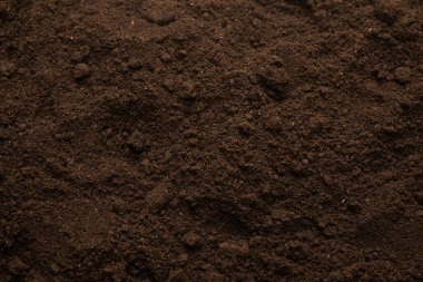 Bitkiler için kara toprak. Üst görünüm. 