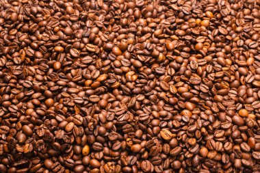 Beyaz arka planda kahve çekirdekleri. Üst Manzara. Kahve çekirdekleri..