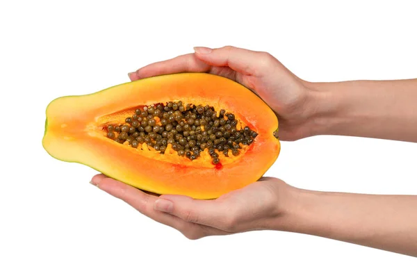 Papaya Fruit Isolated White Background Woman Hands Tropical Fruit Half — Stock Photo, Image