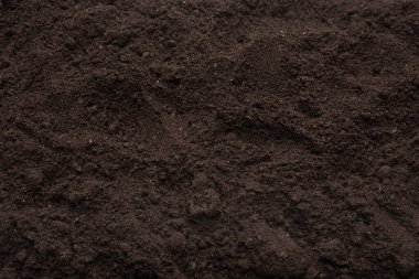 Bitkiler için kara toprak. Üst görünüm. 