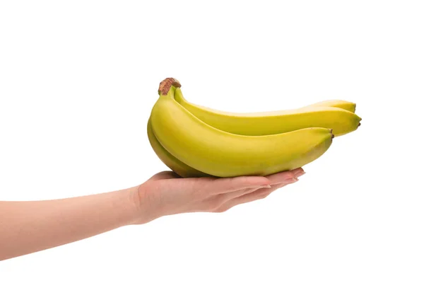 Ramo Plátanos Mano Mujer Aislados Sobre Fondo Blanco — Foto de Stock