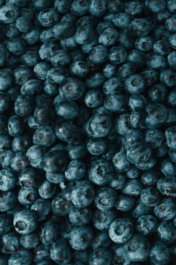 Taze yaban mersini arkaplanı. Doku yaban mersini yakından geliyor..