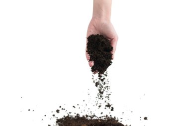 Kadınların elindeki kahverengi toprak beyaz arka planda izole edilmiş. Toprak elimizden kayıp gidiyor..