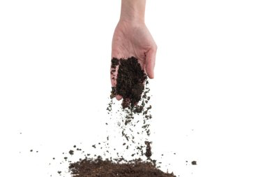 Kadınların elindeki kahverengi toprak beyaz arka planda izole edilmiş. Toprak elimizden kayıp gidiyor..