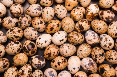 Arka plan olarak bir grup bıldırcın yumurtası. Çiğ yumurta..