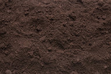 Bitkiler için kara toprak. Üst görünüm. 