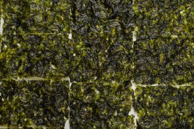 Beyaz arka planda izole edilmiş lezzetli yosun.. 