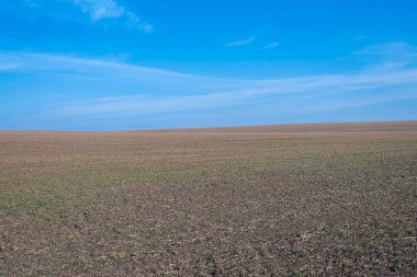 Arkaplan olarak sürülmüş tarla ve mavi gökyüzü. 