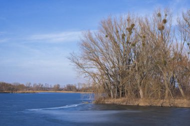 Kırsal alan, mavi gökyüzü, ağaçlar ve bir göl. Sonbahar manzarası.  
