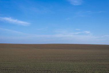 Arkaplan olarak sürülmüş tarla ve mavi gökyüzü. 