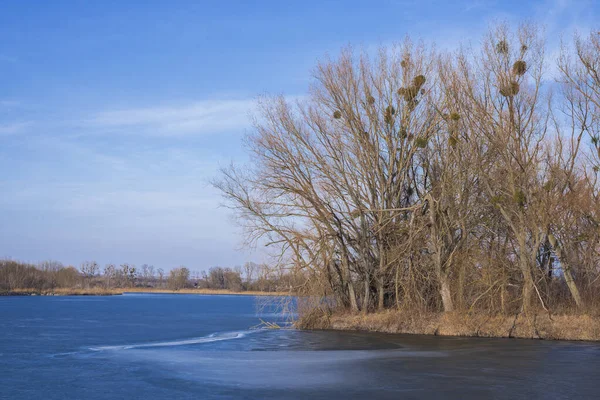Kırsal alan, mavi gökyüzü, ağaçlar ve bir göl. Sonbahar manzarası.  
