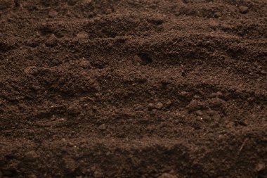 Bitkiler için kara toprak. Üst görünüm. 