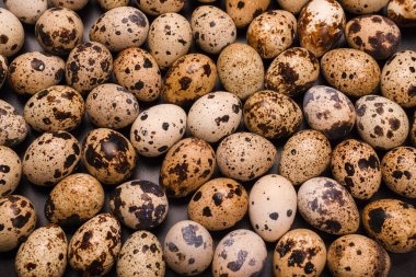 Arka plan olarak bir grup bıldırcın yumurtası. Çiğ yumurta..