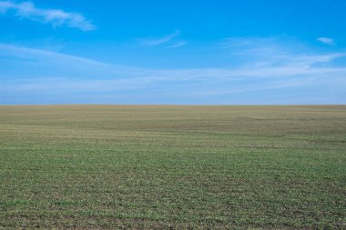 Arkaplan olarak sürülmüş tarla ve mavi gökyüzü. 