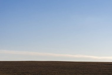 Arkaplan olarak sürülmüş tarla ve mavi gökyüzü. 