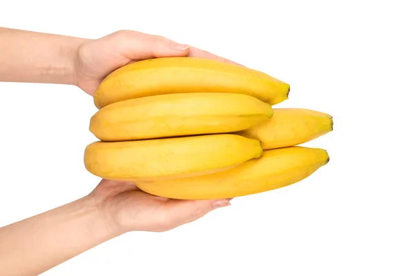 Ein Bündel Bananen Frauenhand Isoliert Auf Weißem Hintergrund — Stockfoto