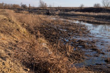 Bataklık manzarası. Kirli nehir, kırsal bölge. 