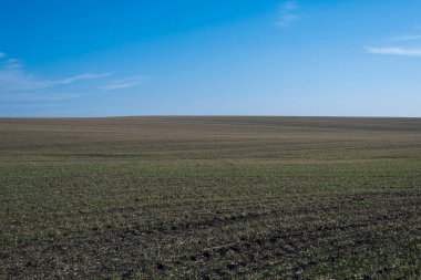 Arkaplan olarak sürülmüş tarla ve mavi gökyüzü. 