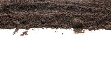 Beyaz arka planda izole edilmiş bitkiler için kara toprak. Boşluğu kopyala.