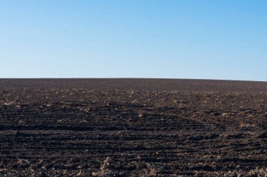 Arkaplan olarak sürülmüş tarla ve mavi gökyüzü. 