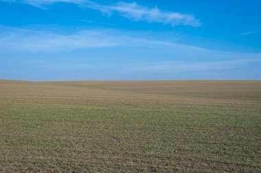 Arkaplan olarak sürülmüş tarla ve mavi gökyüzü. 