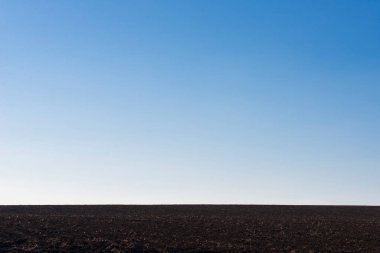 Arkaplan olarak sürülmüş tarla ve mavi gökyüzü. 