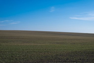 Arkaplan olarak sürülmüş tarla ve mavi gökyüzü. 