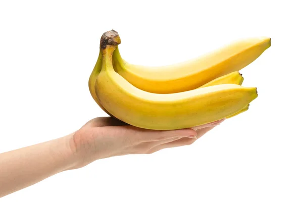 Ein Bündel Bananen Frauenhand Isoliert Auf Weißem Hintergrund — Stockfoto