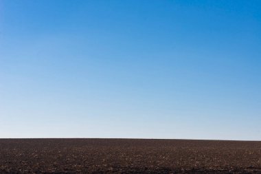 Arkaplan olarak sürülmüş tarla ve mavi gökyüzü. 