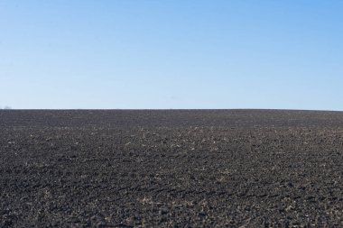 Arkaplan olarak sürülmüş tarla ve mavi gökyüzü. 