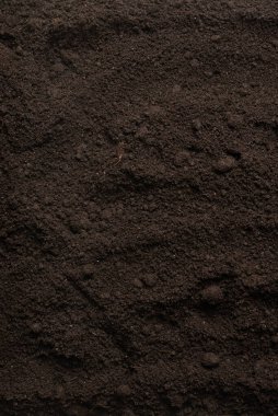 Bitkiler için kara toprak. Üst görünüm. 