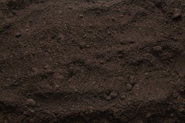 Bitkiler için kara toprak. Üst görünüm. 
