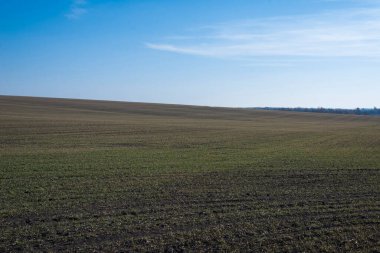 Arkaplan olarak sürülmüş tarla ve mavi gökyüzü. 