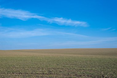 Arkaplan olarak sürülmüş tarla ve mavi gökyüzü. 