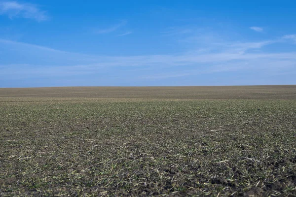 Gepflügtes Feld Und Blauer Himmel Als Hintergrund — Stockfoto
